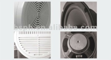 Indoor-outdoor Hi-fi Broadcast Speakers Projector Speaker