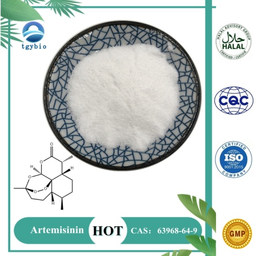 Supply 100% Natural Artemisia Annua Extract 99% Artemisinin