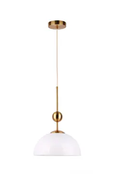 Hanging lamp Creative Single Indoor Pendant Light