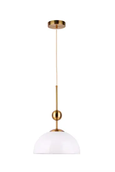 Hanging lamp Creative Single Indoor Pendant Light