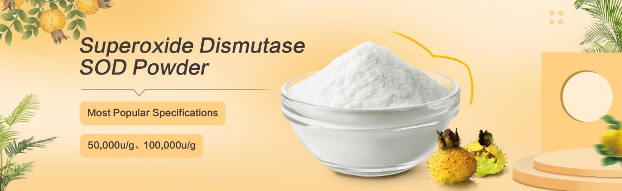 superoxide dismutase antioxidant