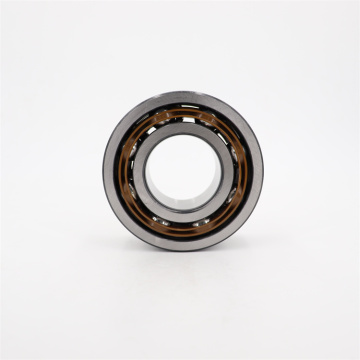 Double Row Angular Contact Ball Bearings: Types 3800 Series with 2RS1 Seals