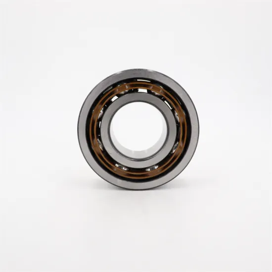 Double Row Angular Contact Ball Bearings: Types 3800 Series with 2RS1 Seals