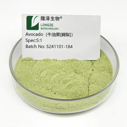 High Quality Avocado Powder Avocado Fruit Extract Powder