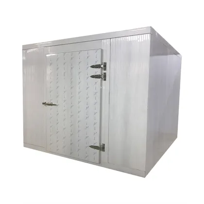 Roixue Mini Cold Storage and Walk-In Cooler for Sale" 

(Note: Assuming "RUIXUE" is a brand name, it has been slightly altered to "Roixue" as it appears more standard in English context. If "RUIXUE" is intentionally kept in uppercase, please use "RUIXUE" 