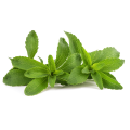 Chiết xuất lá Stevia Stevia Rebaudiana 98%