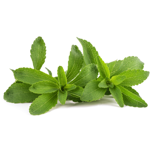 Stevia Leaf Extract Stevia Rebaudiana 98%