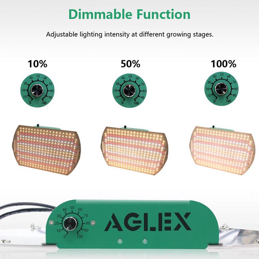 QB led light for growing