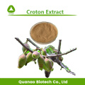 Croton Extract Powder 10: 1 20: 1 Kruidgewichtsverlies