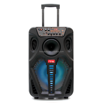 Guangzhou Portable Karaoke Trolley: Outdoor Speaker System with FM Radio and USB Connectivity