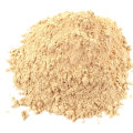 estratto di hericium erinaceus 100% biologico