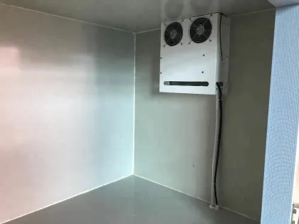 Electric Tricycle/Tuk Tuk with Chilling chamber
