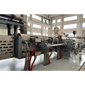 PSHJ-20 Twin Screw Extruder