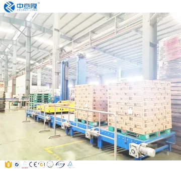 Gantry Palletizer with Pallet Stretch Packaging Line for Automatic Carton Packing
