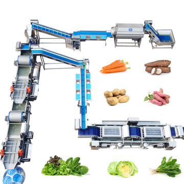Lonkia Baby Spinach Lettuce Cabbage Fruit Salad Leafy Vegetables Line Like Backing Line
