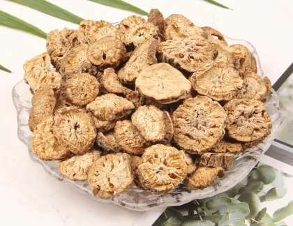 China Wholesale Dried Burdock Root Slices for Bulk Purchase and Digestive Health