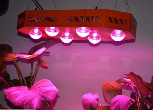 New COB 250W LED Grow Light (SG-COB250W)