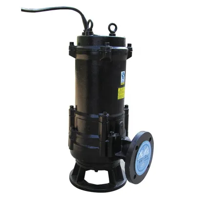 WQ Pump Sewage Lift Pump: Pumping Waste Water Uphill