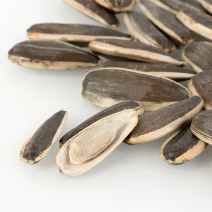 sunflower seed a nut or a grain