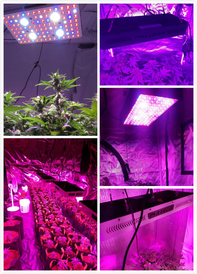 Kind LED Grow Light