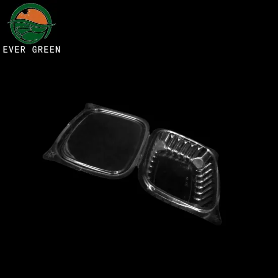 Clear salad plastic disposable hinged container bowls