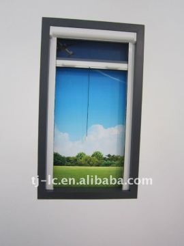 insect screen for window