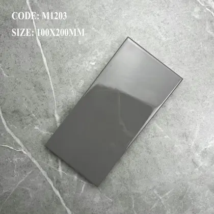 Homogeneous Ceramic Tiles - Affordable 100x200mm Ceramic Tile