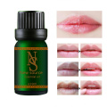 Lip Essential Oil Nutritious Makeup Lips Care Camellia Seed Oil Jojoba Oil Repair Lip Wrinkles Moisturizing Lip Message 10ML