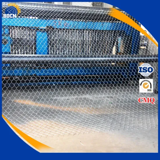 Hexagonal 100*100mm Green Wall Wire Rope Mesh Fence