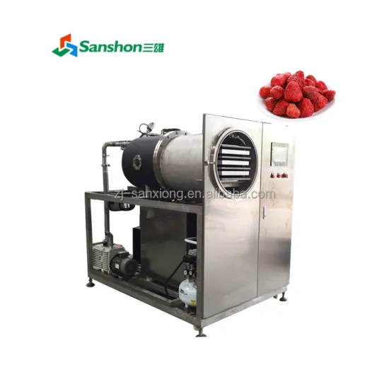 China Strawberry Mushroom Durian Avocado Vacuum Freeze Dryer Machine