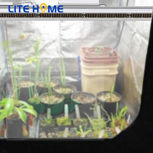 cultivar luces para plantas de interior