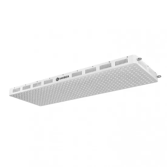 Dual Switch Control Led Medical Therapy Infrared Light