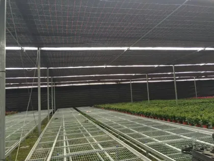 greenhouse agriculture projects