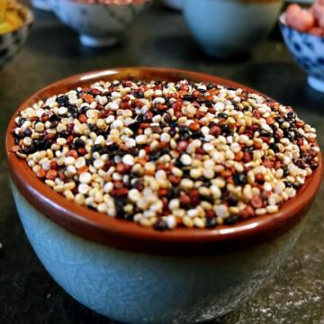 Qualitäts -Tri -Farb -Quinoa -Getreide
