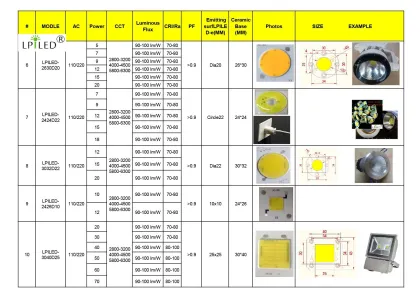 AC COB LED Module 220V LED