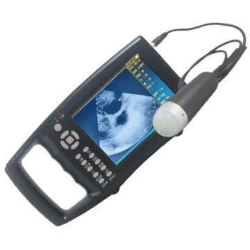 Scanner de ultrassom veterinário portátil para exame de porco e ovelha