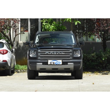 HAVAL Fierce Dragon 5-Seater with 110KM Battery