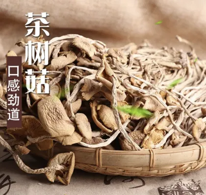 Dried Agrocybe aegerita tea tree mushroom natural agrocybe