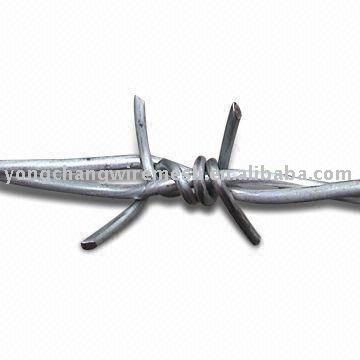 hot dip galvanized barbed wire(four barbs)