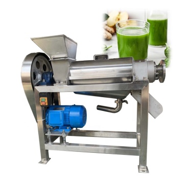 Leaves and Vegetables Cold Press Juicer: Screw-Type Green Juice Extractor