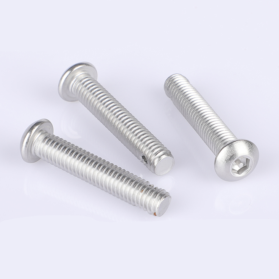 Stainless steel anti-theft screws (3)