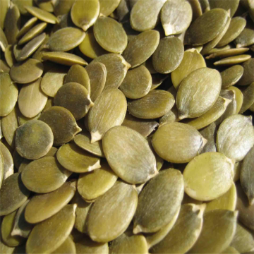 Pumpkin Seeds Grade AAA Organically Grown