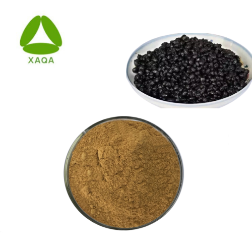 Soybean Extract Powder Polysaccharides 10% Fermented