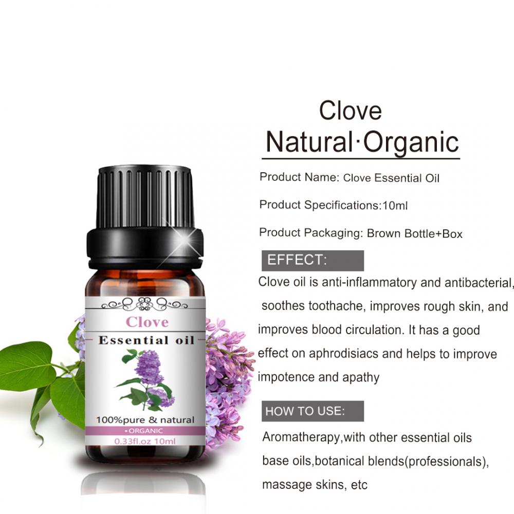 Óleo essencial de cravo natural 100% puro para aromaterapia