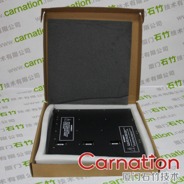 TRICONEX 4000093-310 in stock