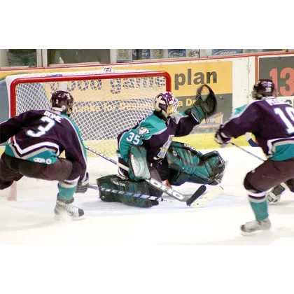 Knotless Plastic Net for Ice Hockey and Field Hockey