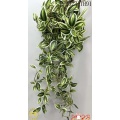 34" WANDERING JEW IVY HANGING BUSH