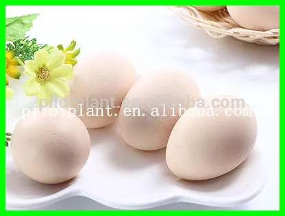 instant heating spray dryer