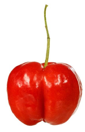 acerola cherry powder (1)