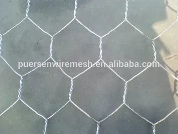 Galvanized Netting hexagonal wire mesh chicken wire mesh